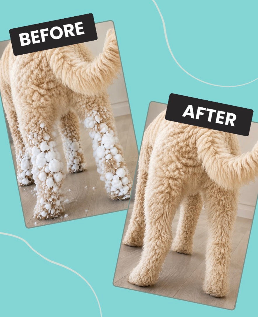 Before and after comparison showing a beige curly-haired Goldendoodle dog's legs cleaned from clumps of snow and ice by Snowwhisker, set against a light teal background with decorative curved lines.