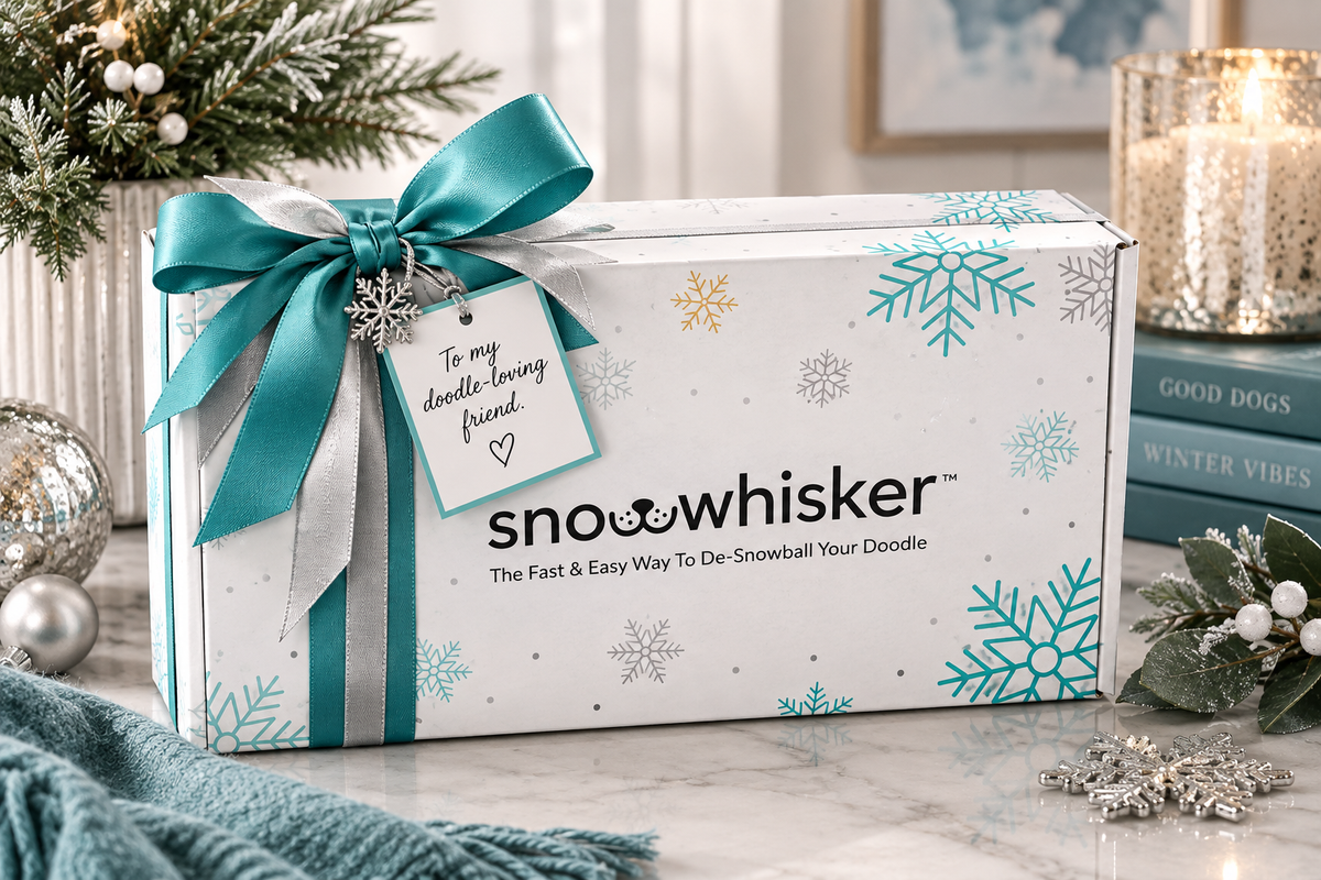 A white rectangular Snowwhisker gift box decorated with teal and silver snowflakes, tied with a teal ribbon and bow, and featuring a hanging gift tag that says to my doodle-loving friend. The box is styled on a marble surface with holiday decorations, a teal knit blanket, and a lit candle in the background.