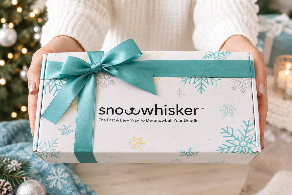 A person in a white knit sweater holds a white Snowwhisker gift box tied with a teal ribbon, with a blurred Christmas tree and warm lights in the background, handing to someone as a holiday gift.